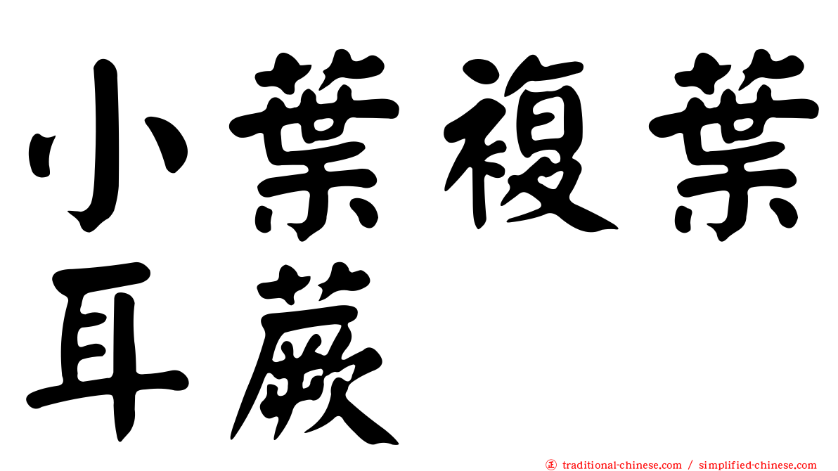 小葉複葉耳蕨