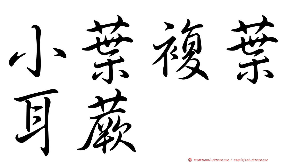 小葉複葉耳蕨