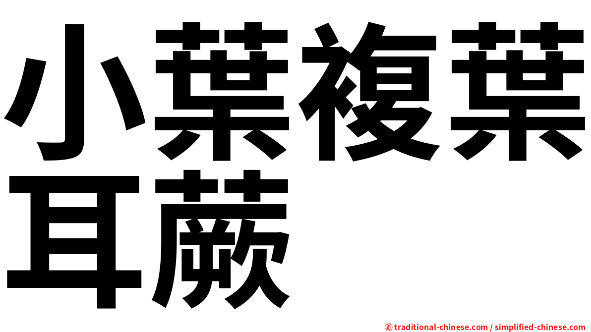 小葉複葉耳蕨