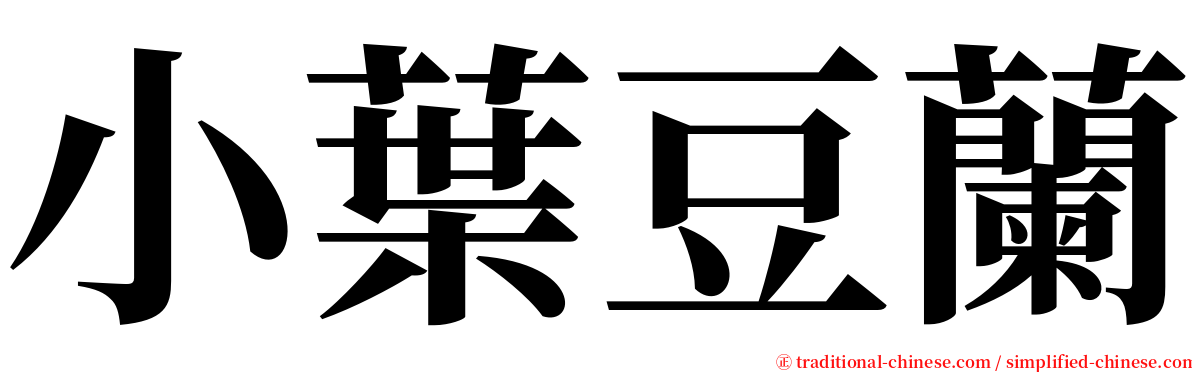 小葉豆蘭 serif font
