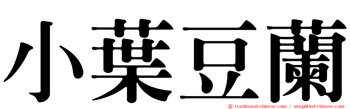 小葉豆蘭