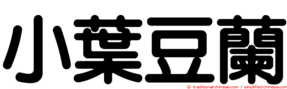 小葉豆蘭