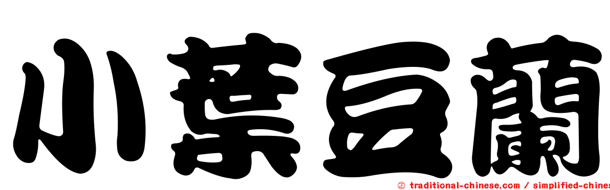 小葉豆蘭