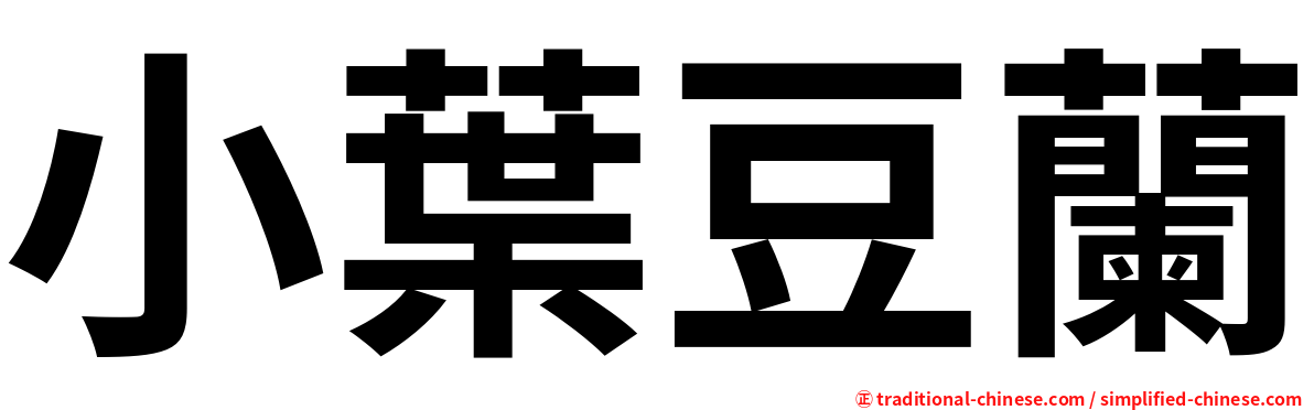 小葉豆蘭