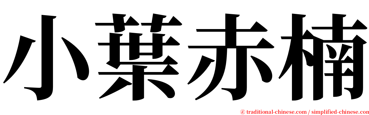 小葉赤楠 serif font
