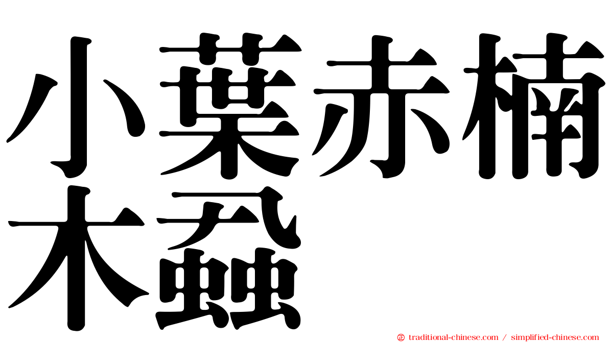 小葉赤楠木蝨