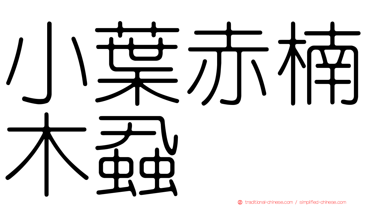 小葉赤楠木蝨