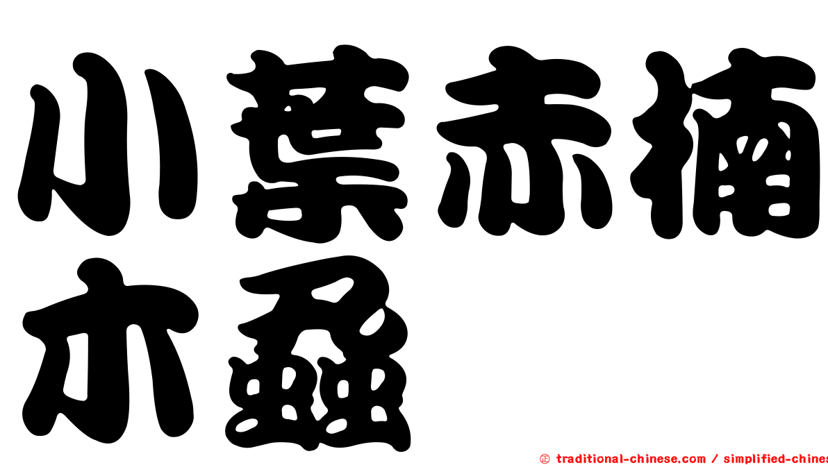 小葉赤楠木蝨