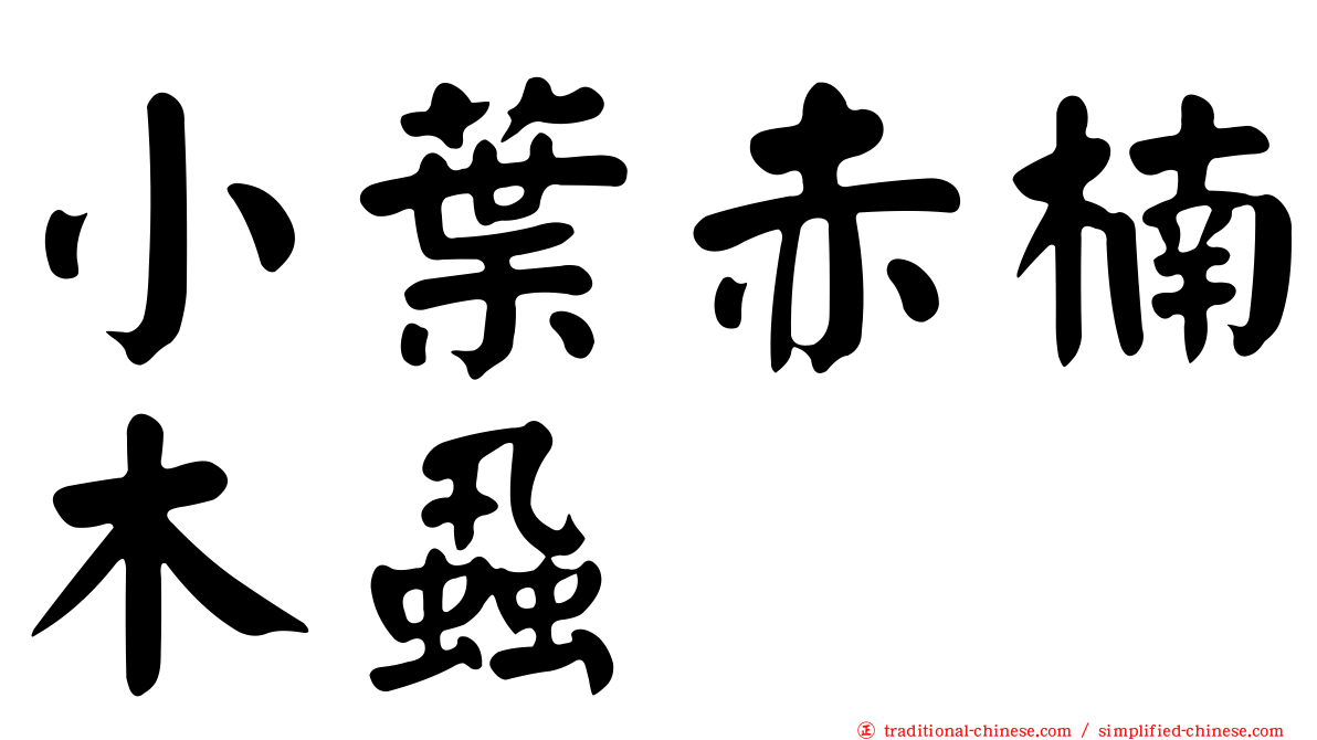 小葉赤楠木蝨