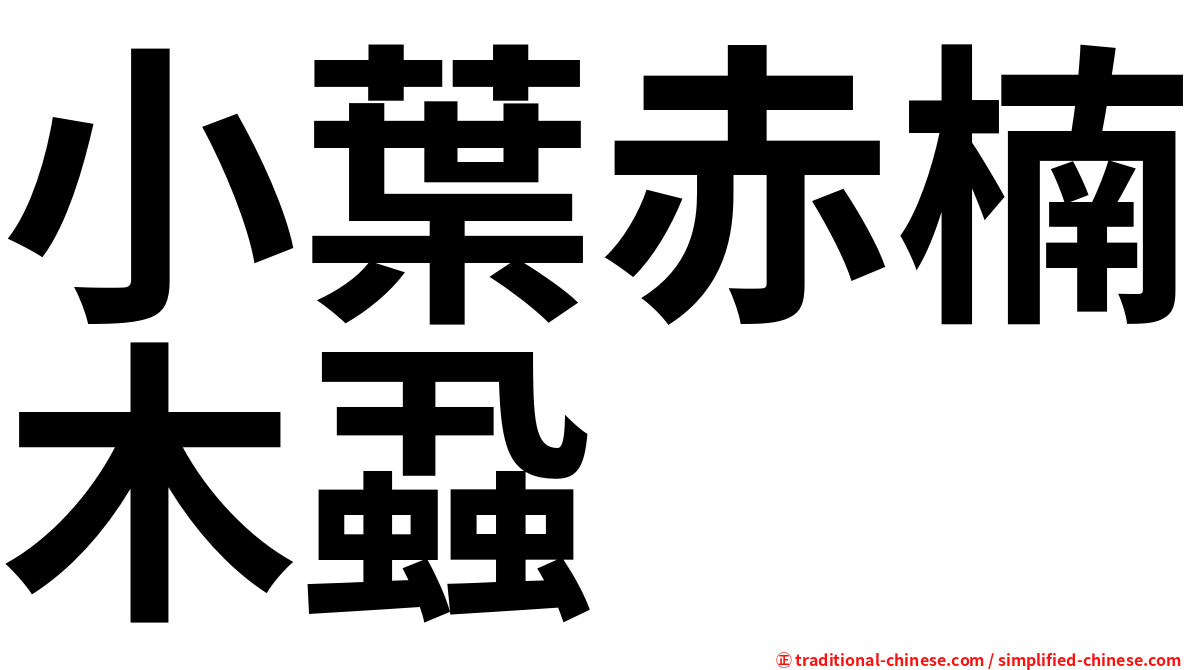 小葉赤楠木蝨