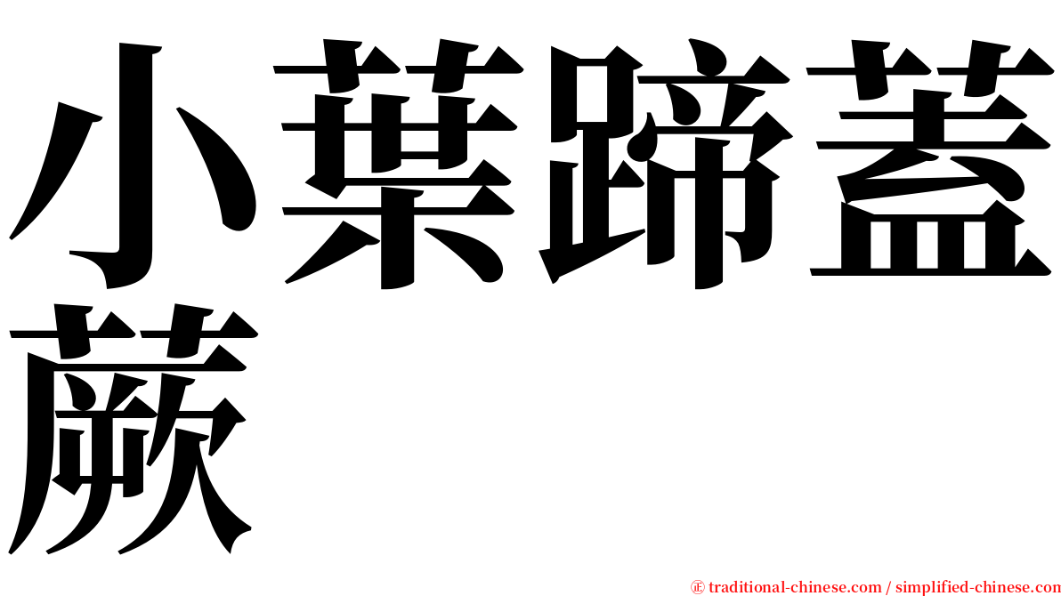 小葉蹄蓋蕨 serif font