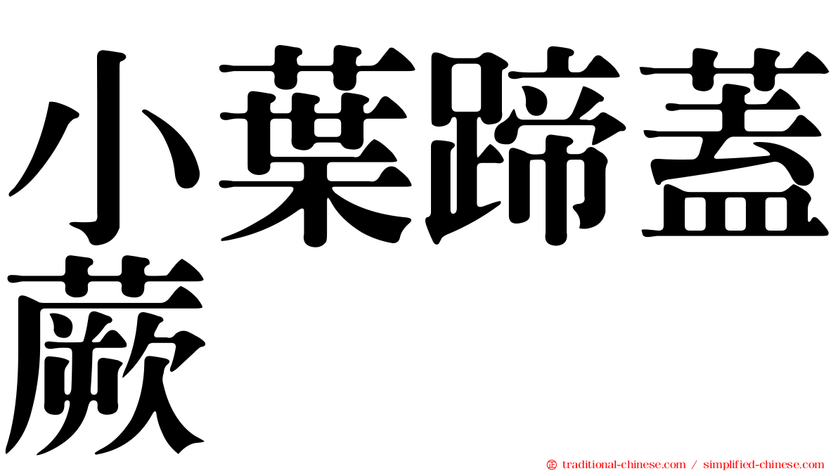 小葉蹄蓋蕨