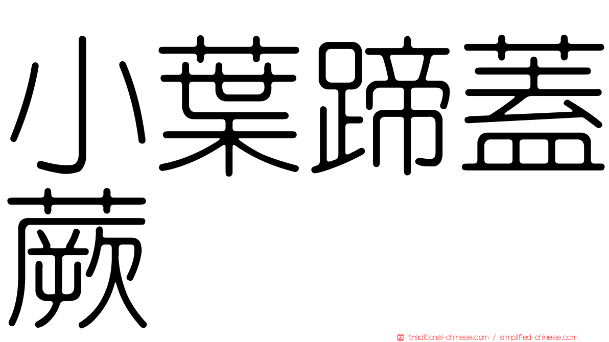 小葉蹄蓋蕨