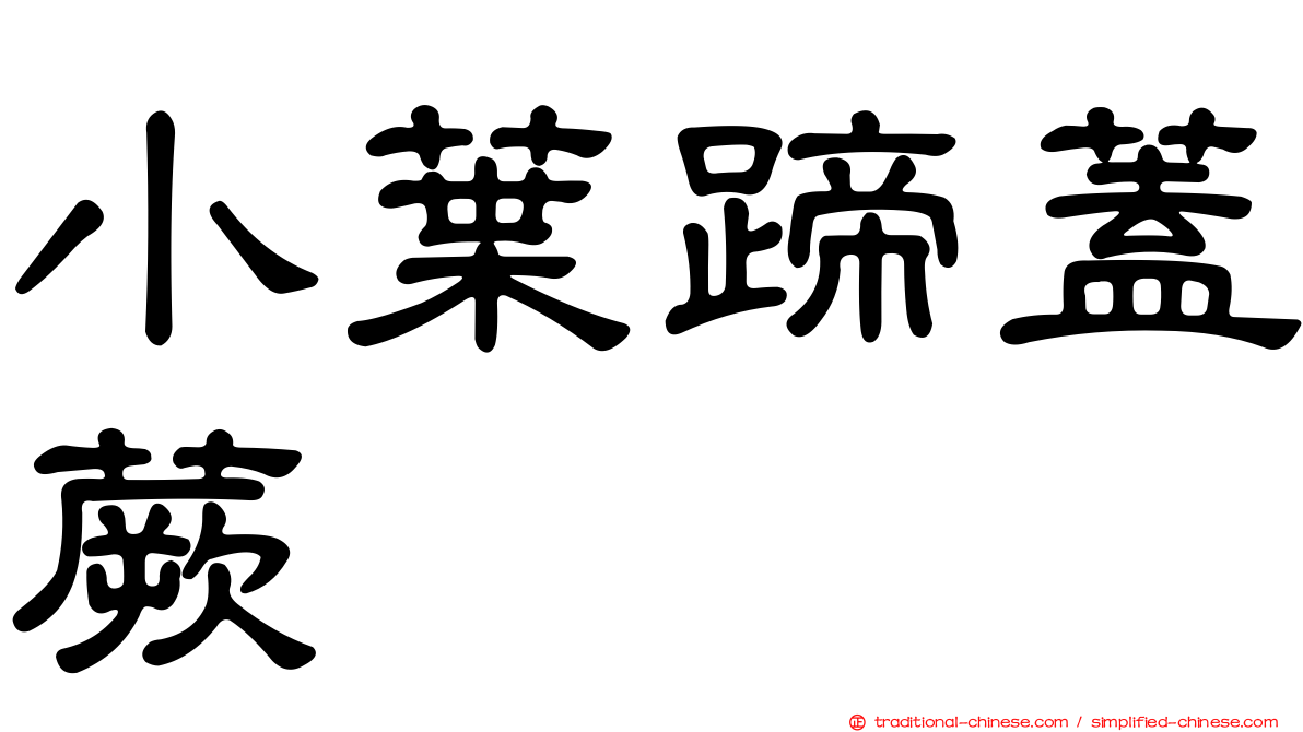 小葉蹄蓋蕨