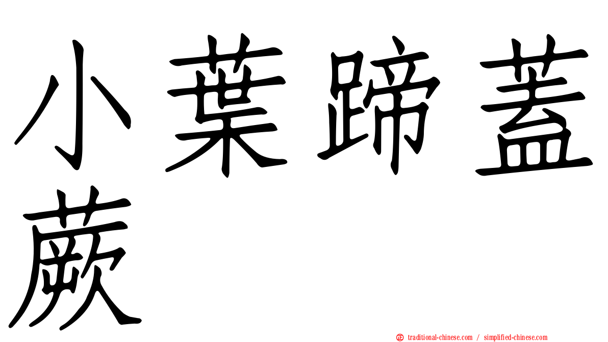 小葉蹄蓋蕨