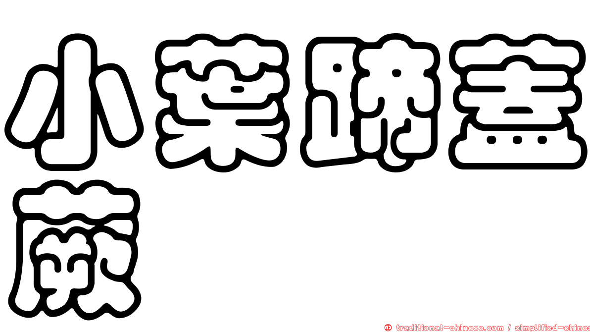 小葉蹄蓋蕨