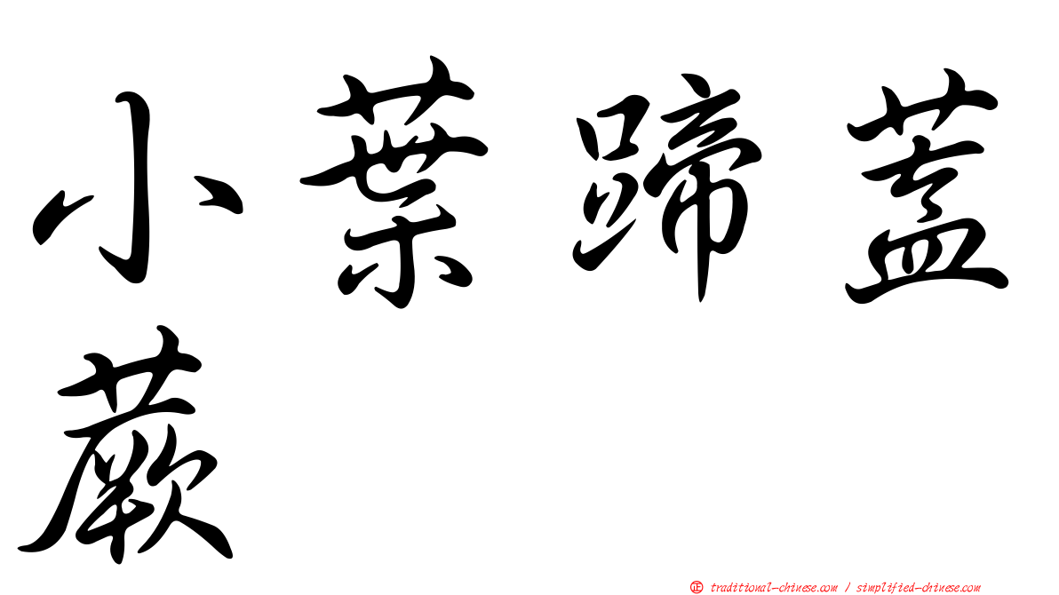 小葉蹄蓋蕨