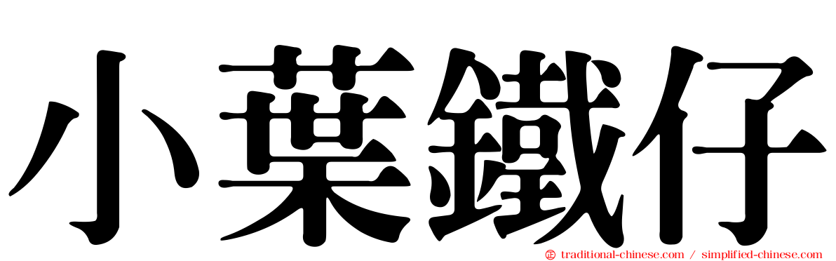小葉鐵仔