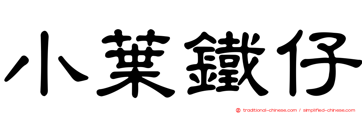 小葉鐵仔