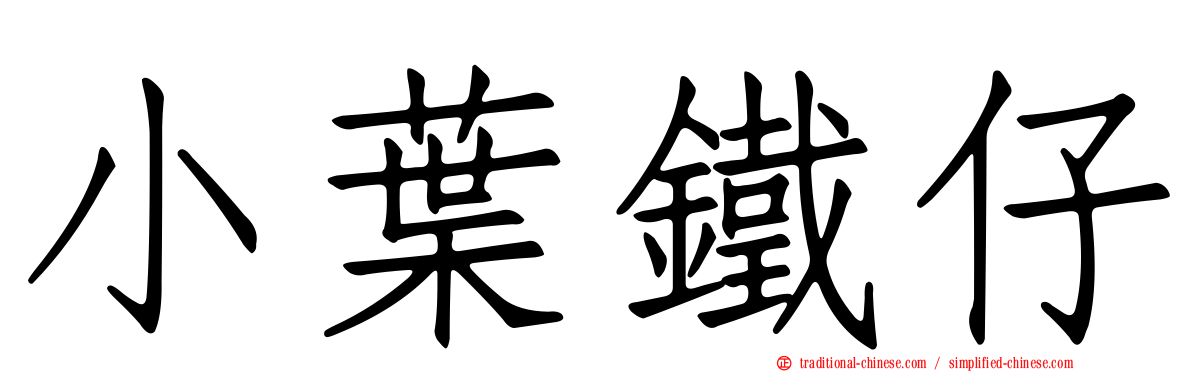 小葉鐵仔