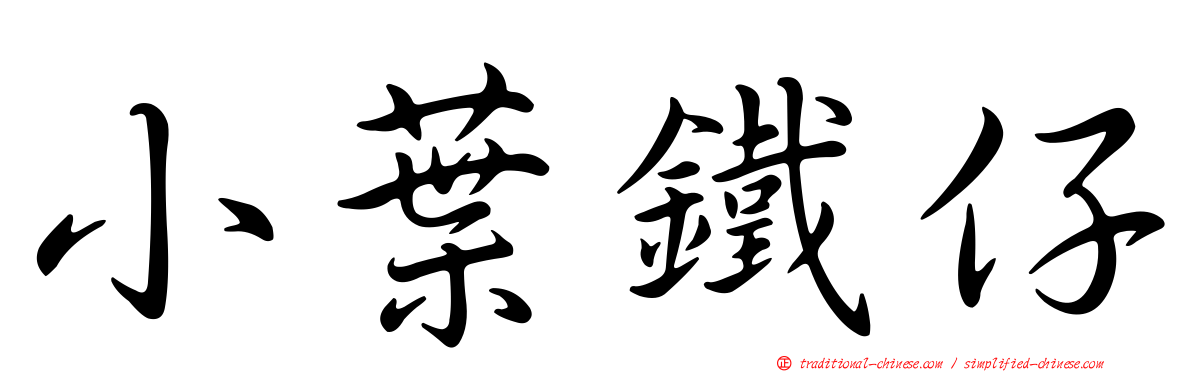 小葉鐵仔
