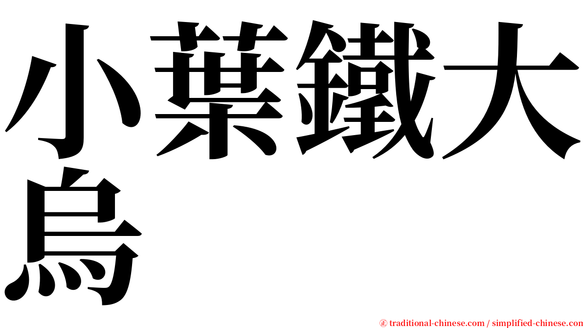 小葉鐵大烏 serif font