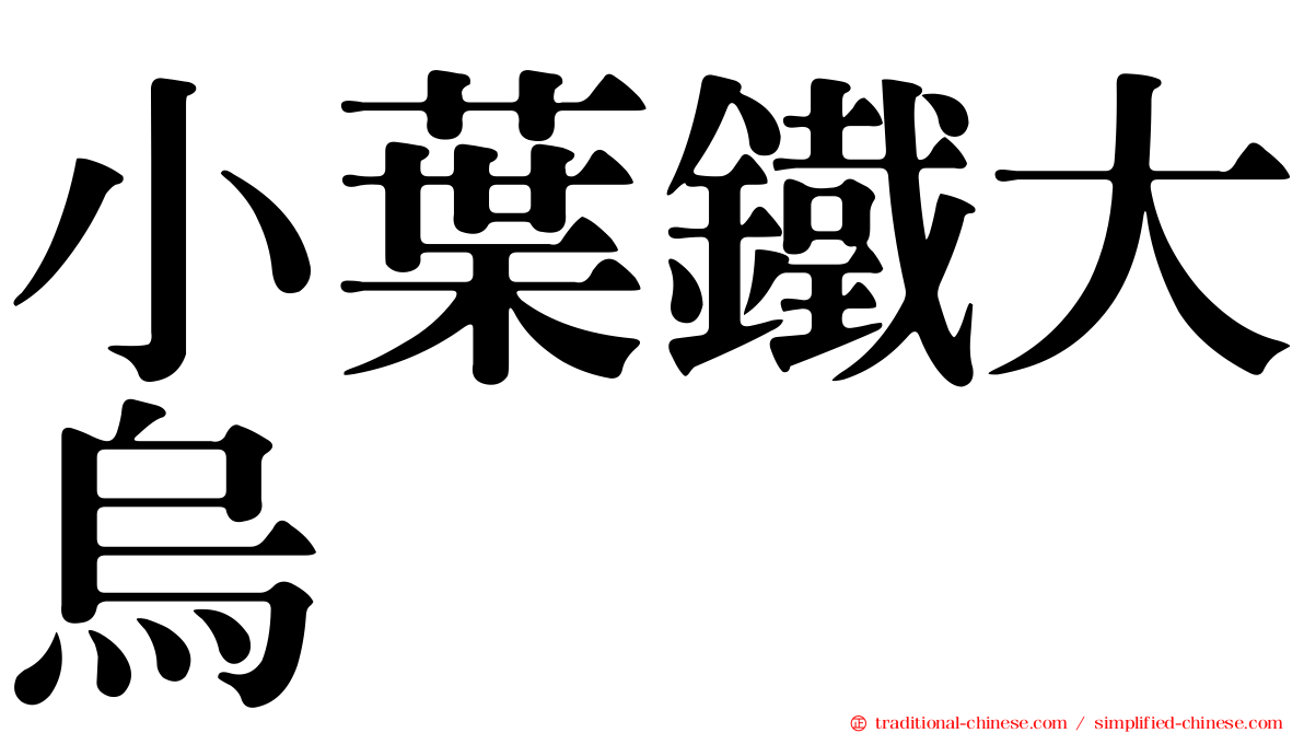 小葉鐵大烏