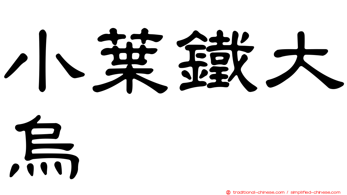 小葉鐵大烏
