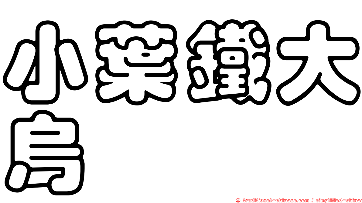 小葉鐵大烏