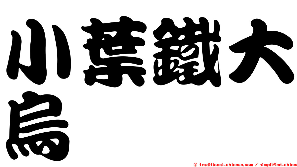 小葉鐵大烏