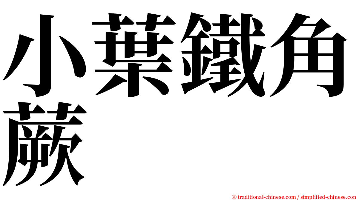 小葉鐵角蕨 serif font