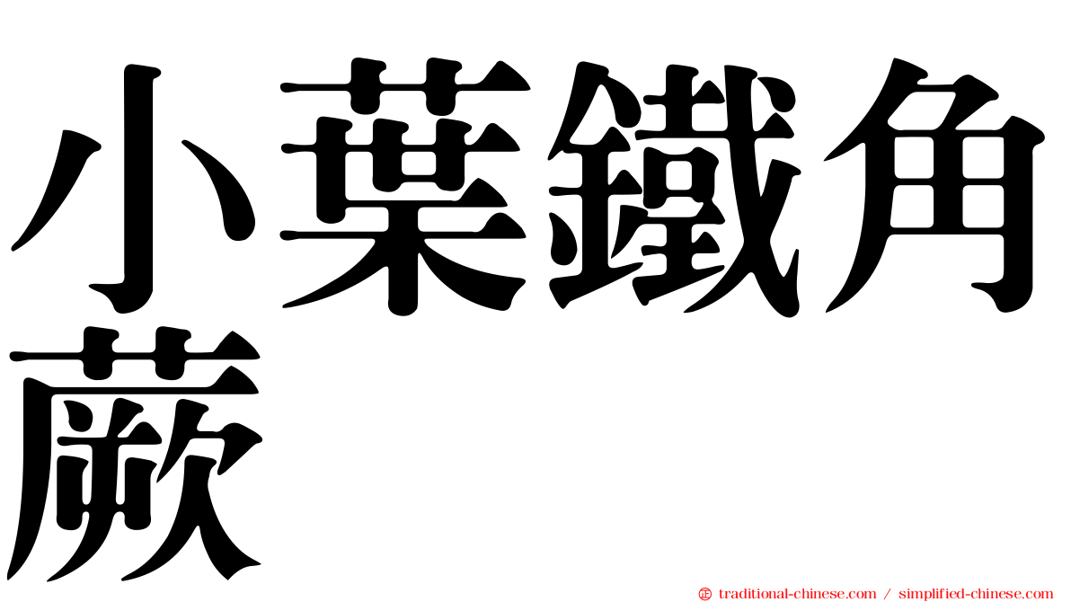小葉鐵角蕨