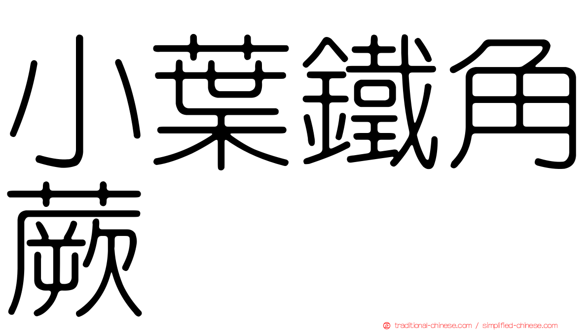 小葉鐵角蕨