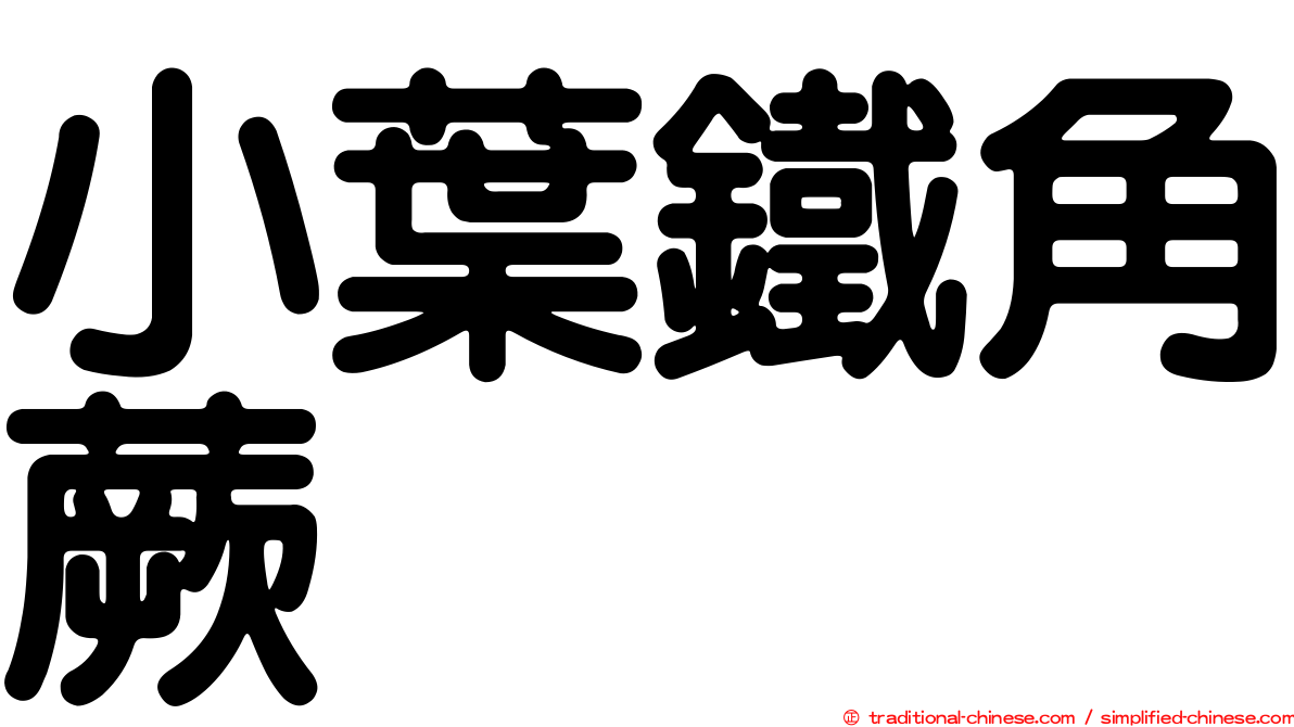 小葉鐵角蕨