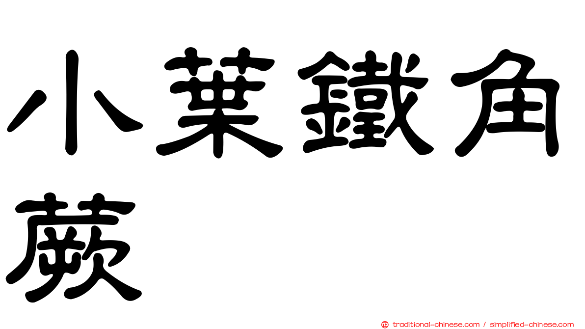 小葉鐵角蕨
