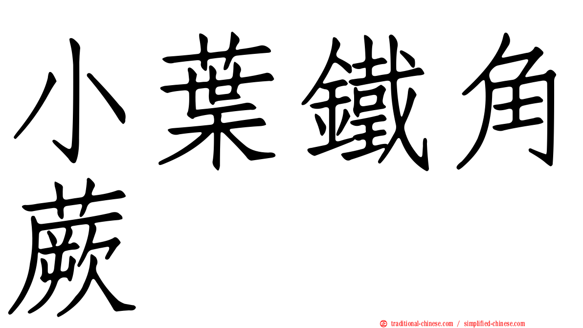 小葉鐵角蕨