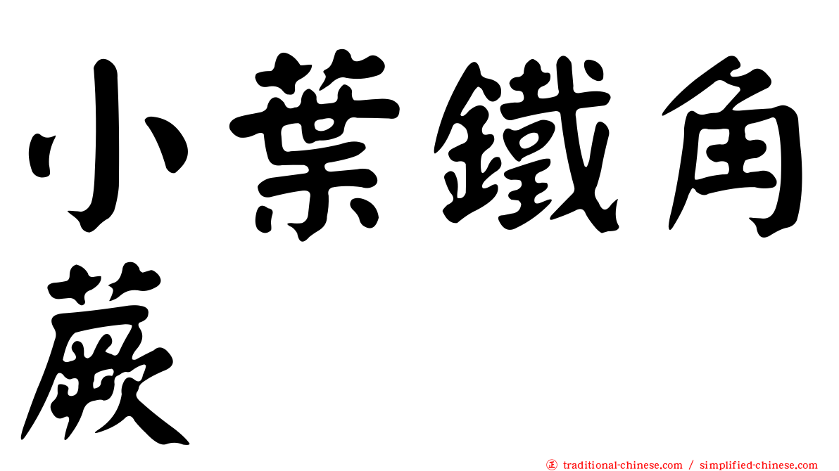 小葉鐵角蕨