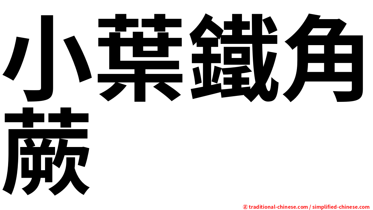 小葉鐵角蕨