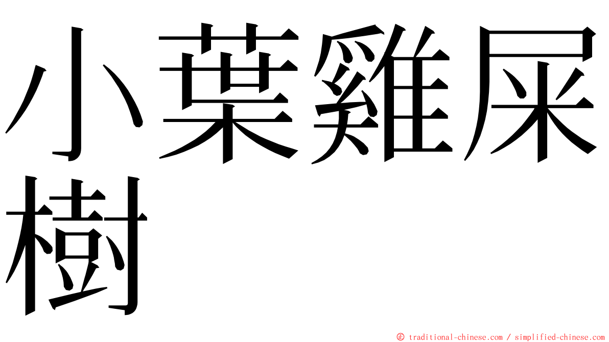 小葉雞屎樹 ming font