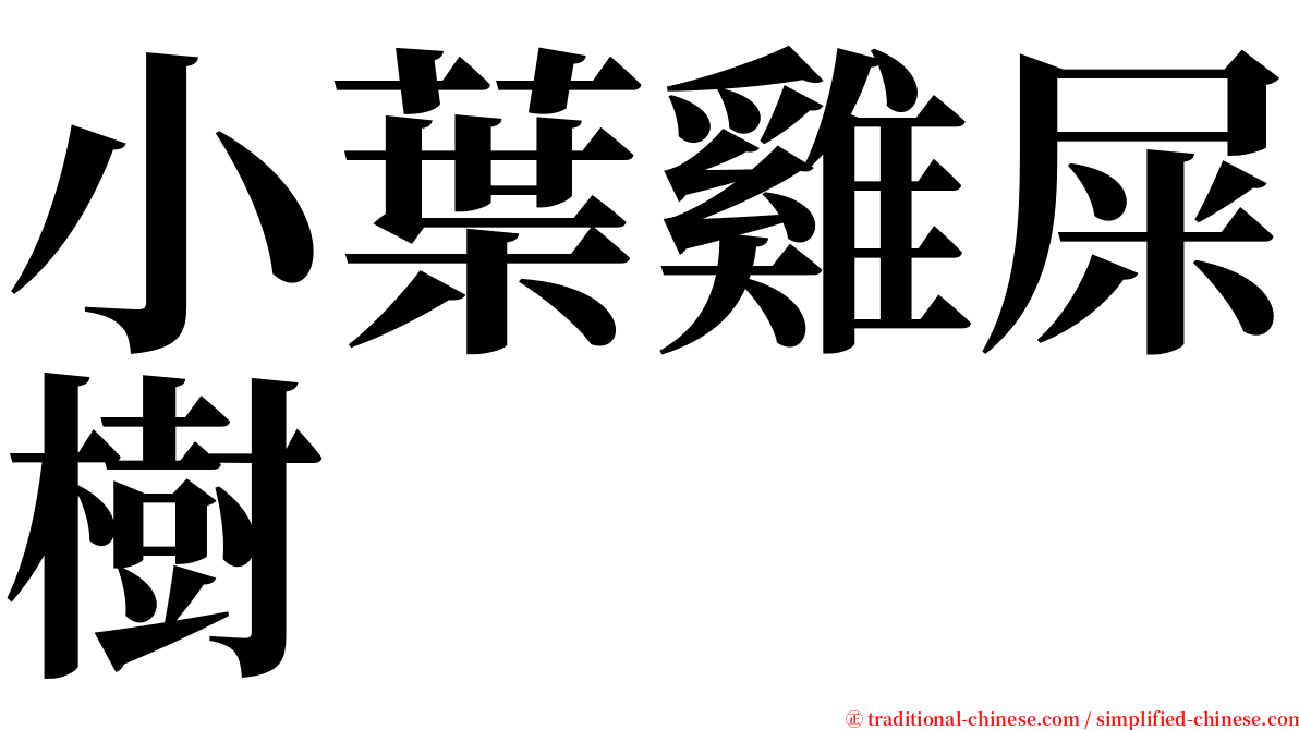 小葉雞屎樹 serif font