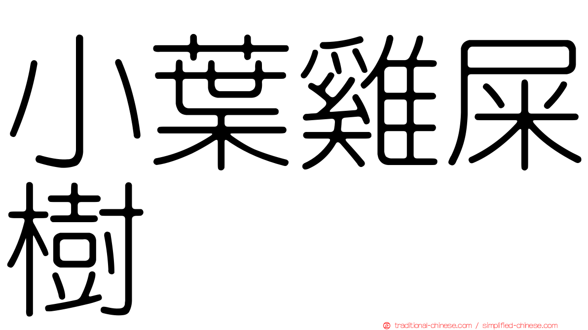 小葉雞屎樹