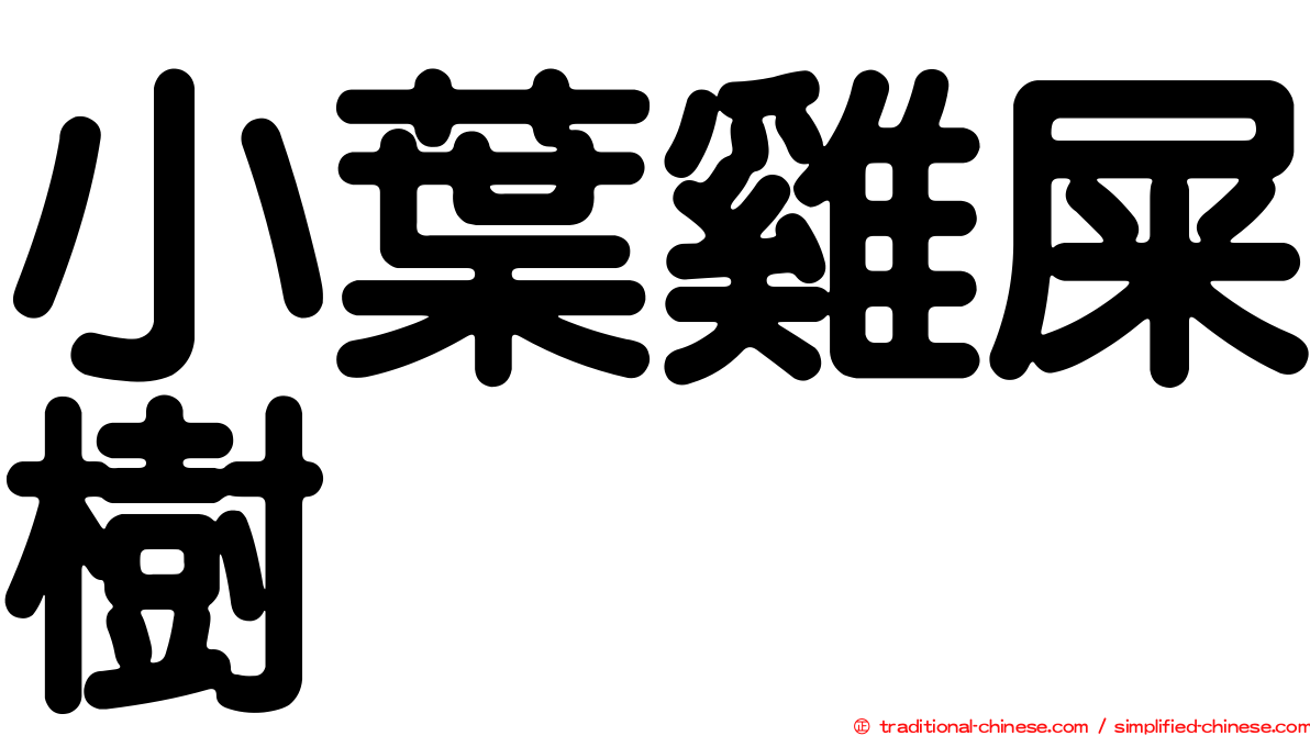 小葉雞屎樹