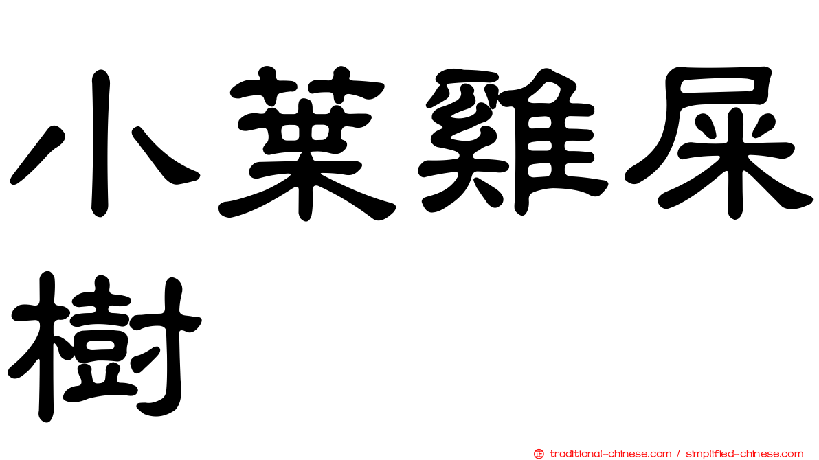小葉雞屎樹
