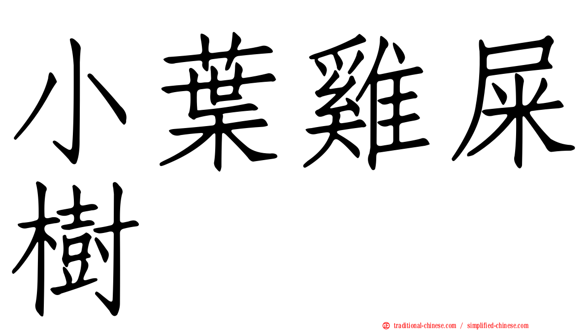 小葉雞屎樹