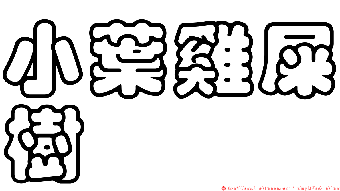小葉雞屎樹