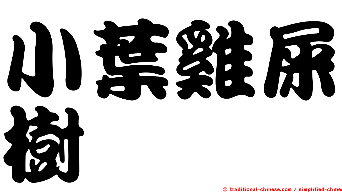 小葉雞屎樹