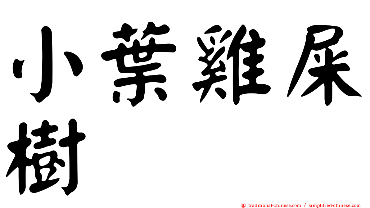 小葉雞屎樹