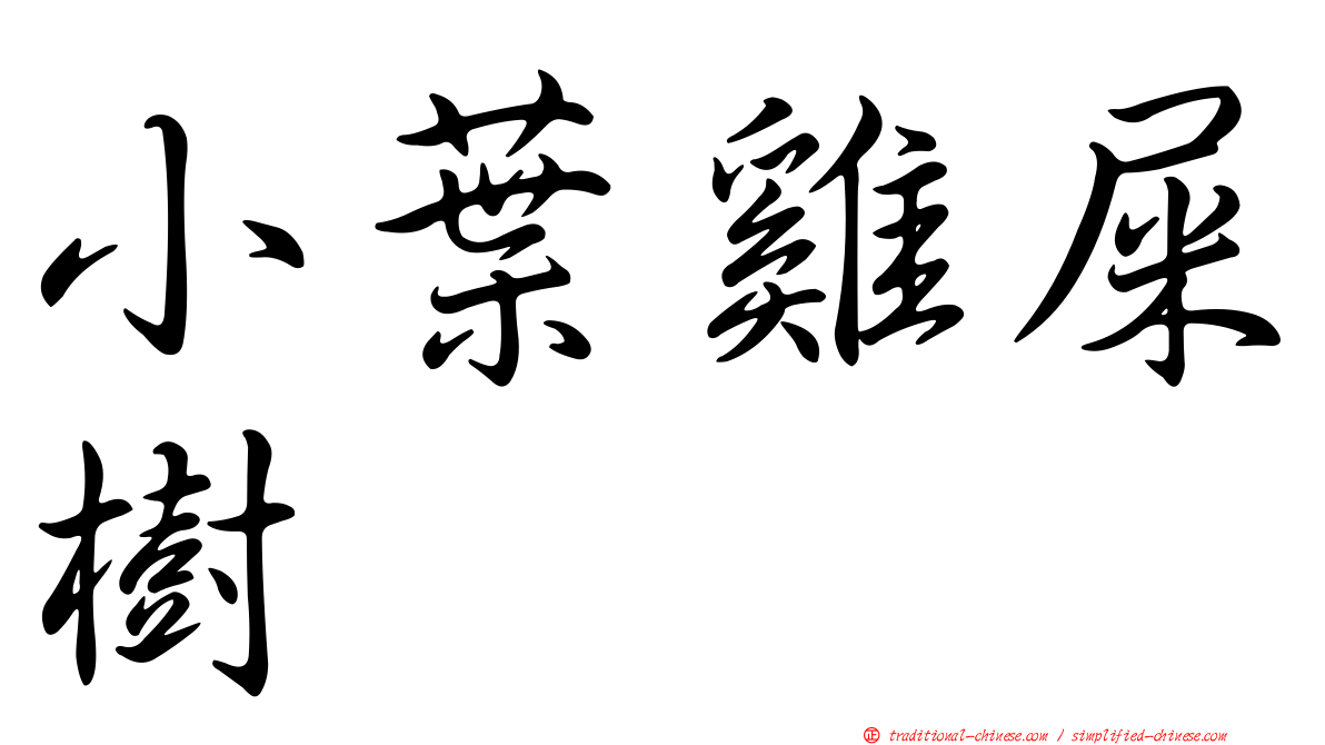 小葉雞屎樹