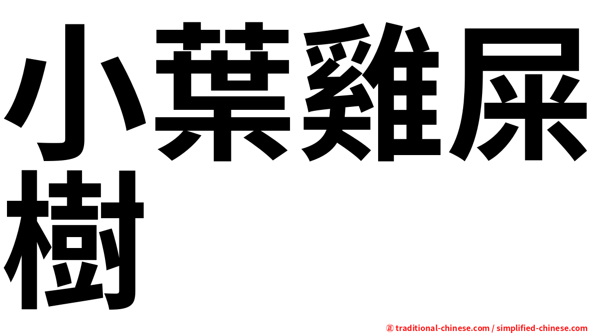 小葉雞屎樹