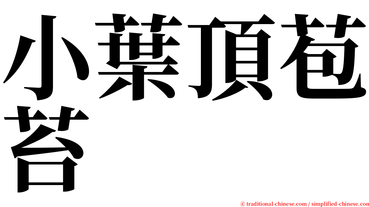 小葉頂苞苔 serif font
